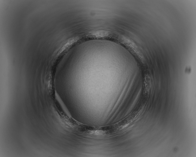 X0000097840212200803281232