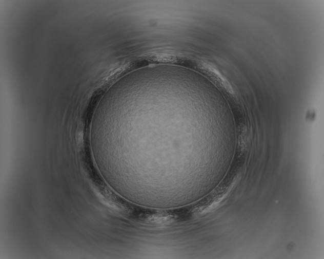 X0000097840213200803281232