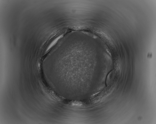 X0000097840214200803281232