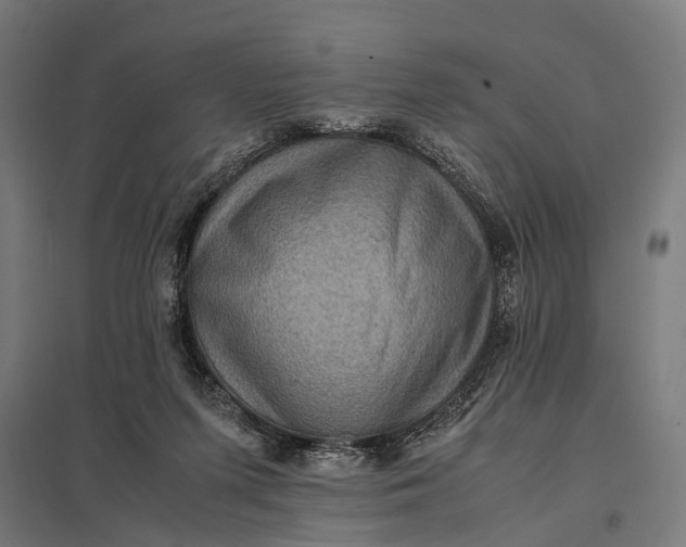 X0000097840215200803281232