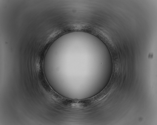 X0000097840216200803281232