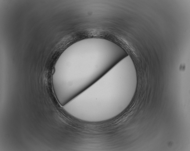 X0000097840217200803281231