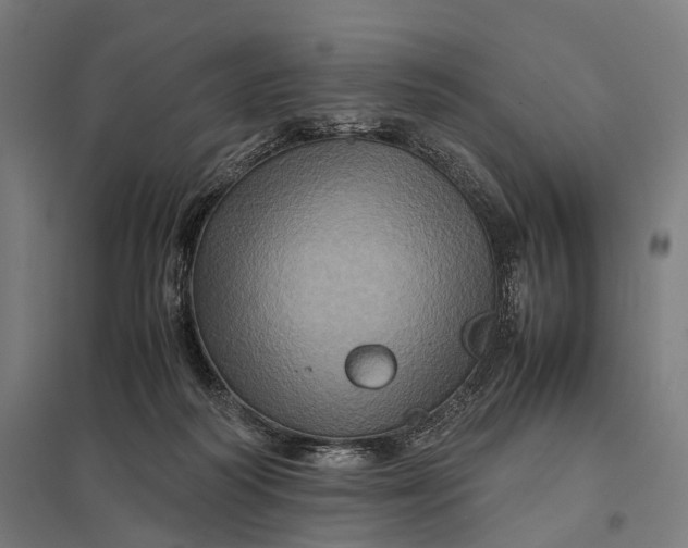 X0000097840218200803281231