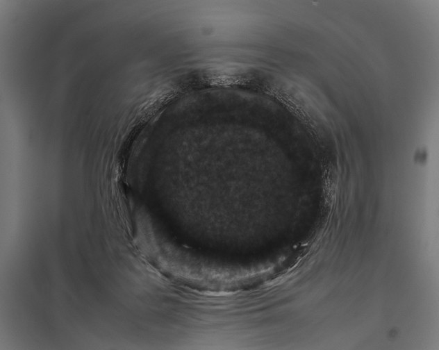 X0000097840219200803281231