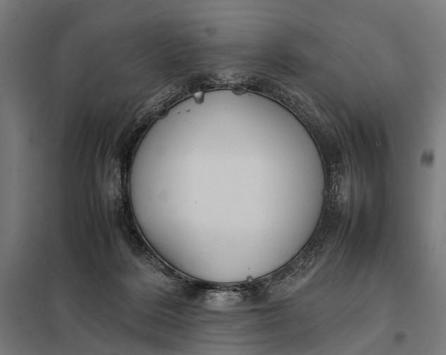 X0000097840220200803281231
