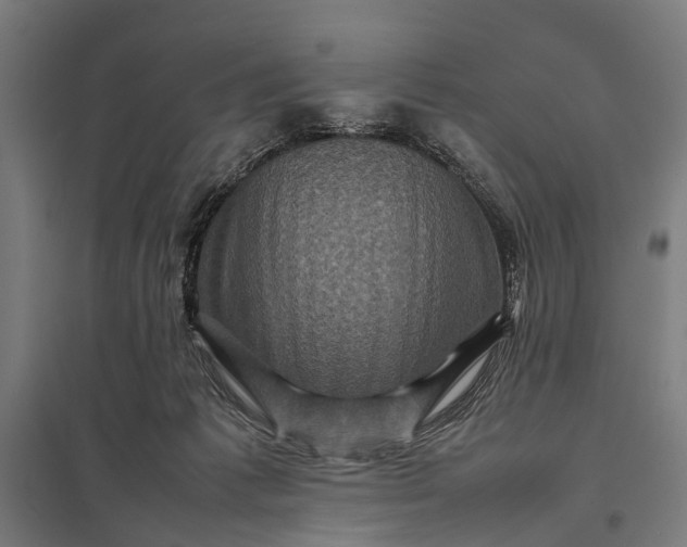 X0000097840221200803281231