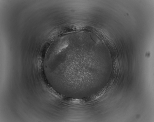 X0000097840222200803281231