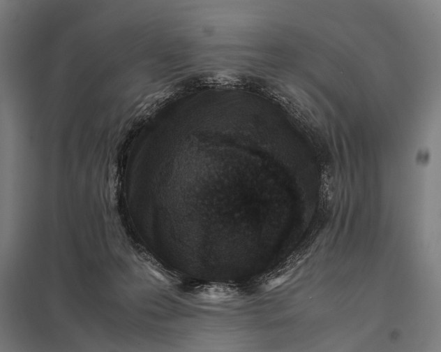 X0000097840223200803281231