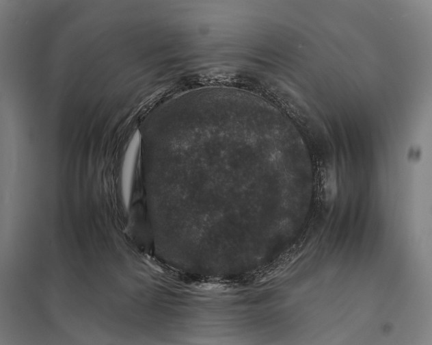 X0000097840224200803281231