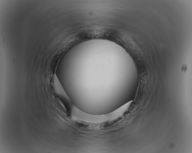 X0000097840225200803281231