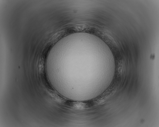 X0000097840226200803281231