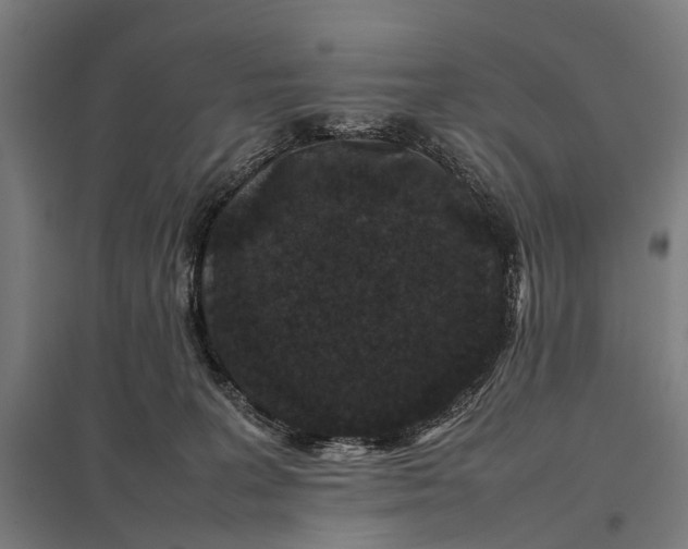X0000097840227200803281231