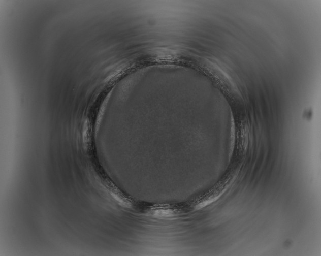 X0000097840228200803281231