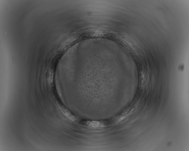 X0000097840230200803281231