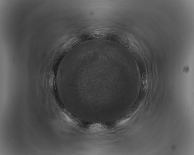X0000097840231200803281231