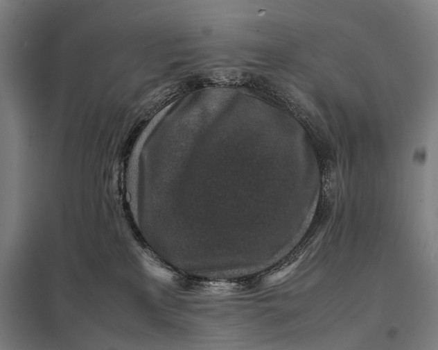 X0000097840233200803281231
