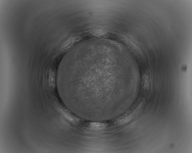 X0000097840234200803281231