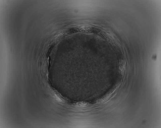 X0000097840235200803281231