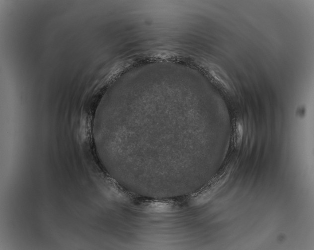 X0000097840236200803281231