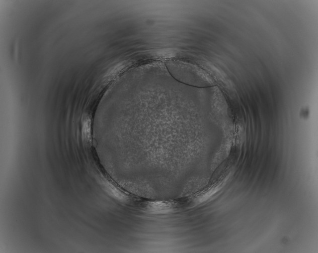 X0000097840238200803281231