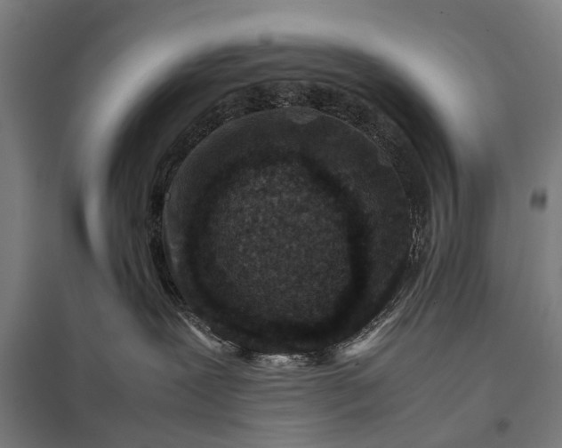 X0000097840239200803281231