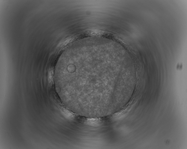X0000097840240200803281231