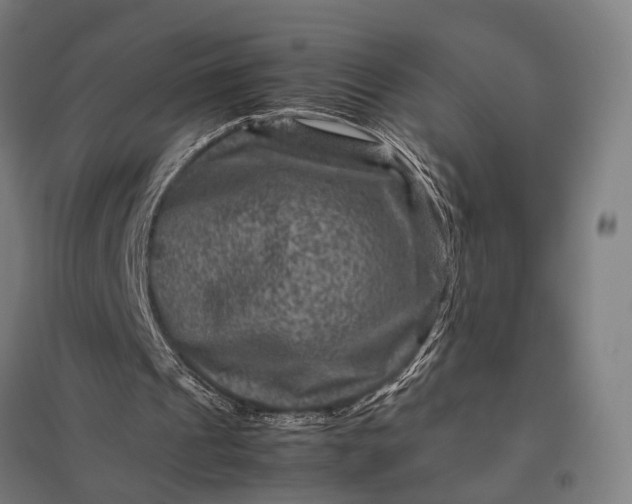 X0000097840241200803281230