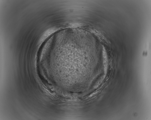 X0000097840242200803281230