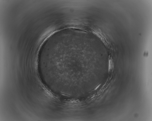 X0000097840243200803281230