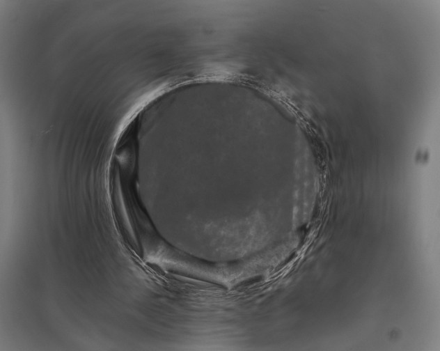 X0000097840244200803281230