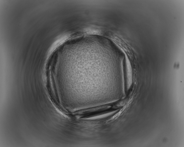 X0000097840245200803281230