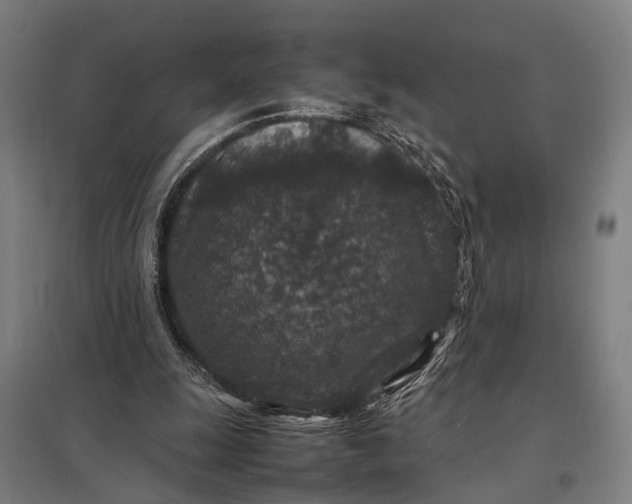 X0000097840247200803281230