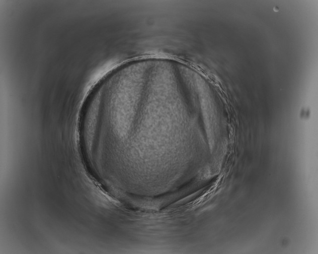 X0000097840248200803281230