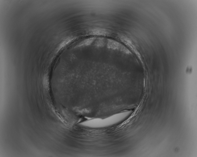 X0000097840249200803281230