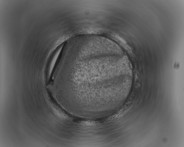X0000097840250200803281230