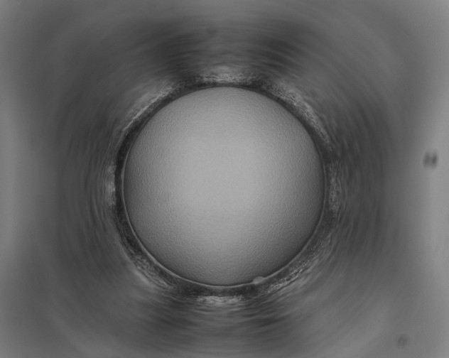 X0000097840251200803281230