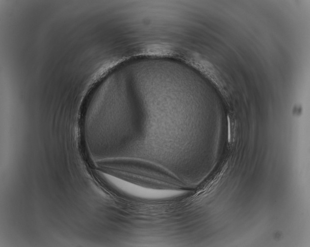 X0000097840252200803281230