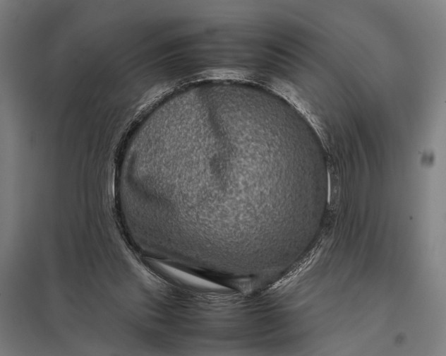 X0000097840253200803281230