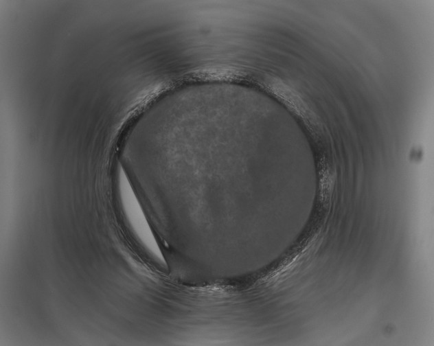X0000097840254200803281231