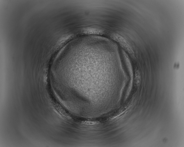 X0000097840255200803281231