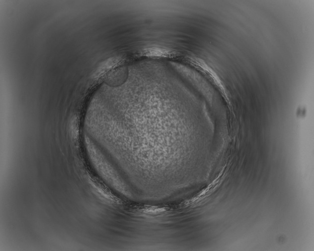 X0000097840257200803281231