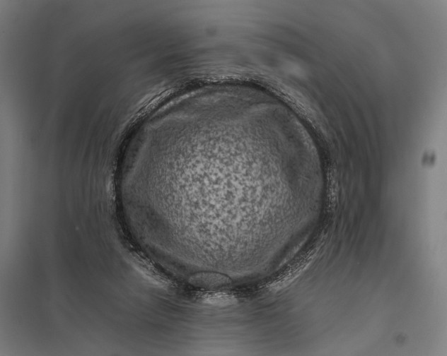 X0000097840258200803281231