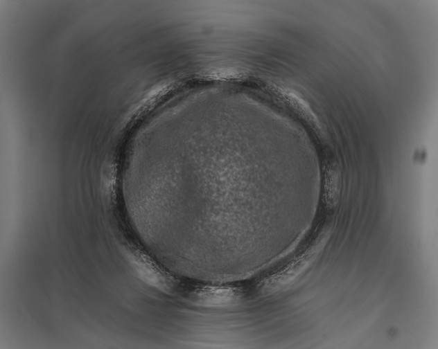 X0000097840260200803281231