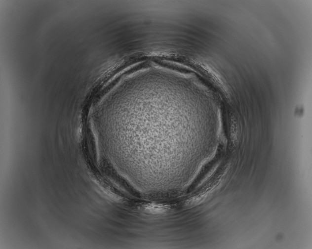 X0000097840261200803281231