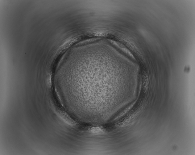 X0000097840262200803281231