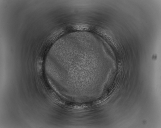 X0000097840263200803281231