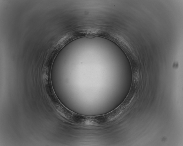 X0000097840264200803281231
