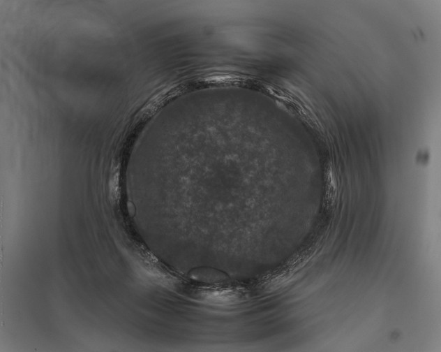 X0000097840267200803281231