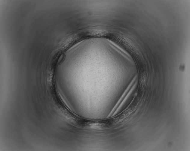 X0000097840268200803281231