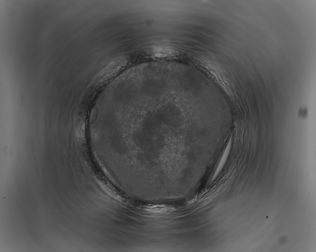 X0000097840269200803281231